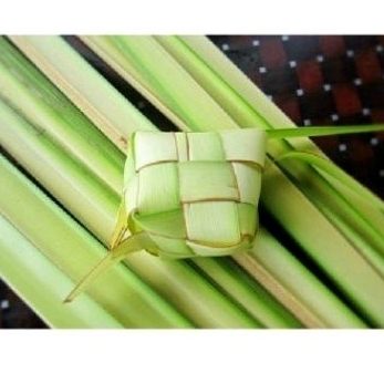 

daun ktupat bungkus ktupat