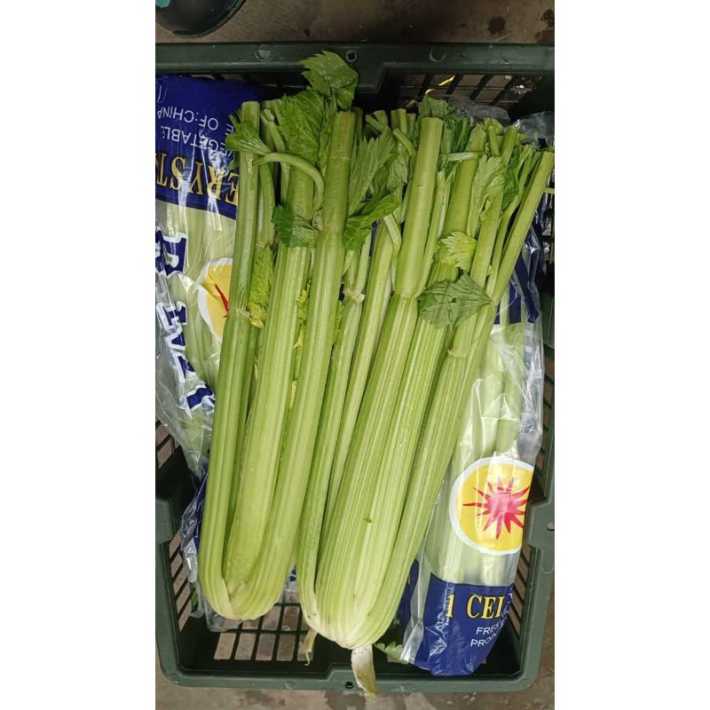 

Celery Stick Stalk Import 10kg / 1 krat FRESH