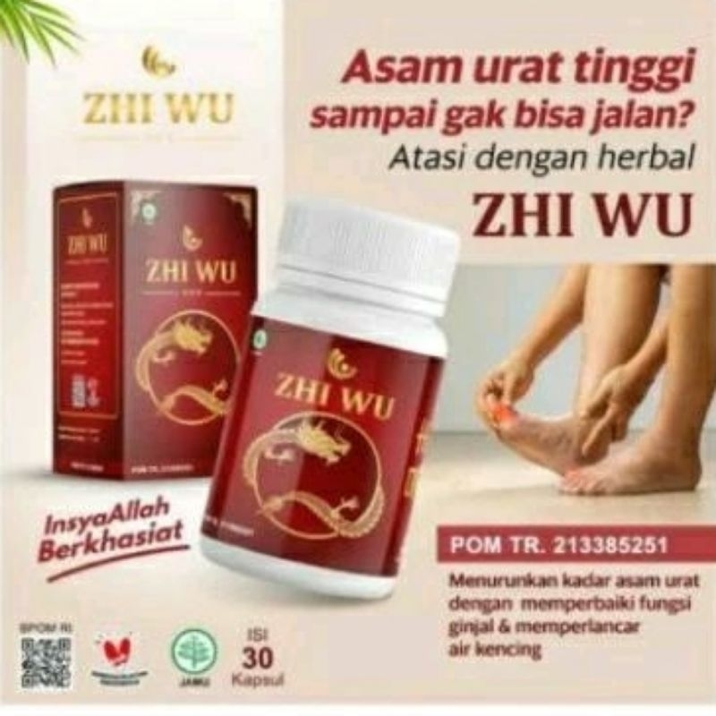 ZHI WU Original Herbal Cina Obat Asam Urat Kolesterol Reumatik Ampuh Zhi Wu Asli Terbaik