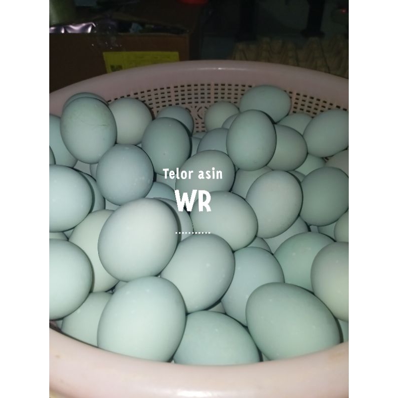 

TELOR ASIN MATANG / TELOR ASIN BEBEK