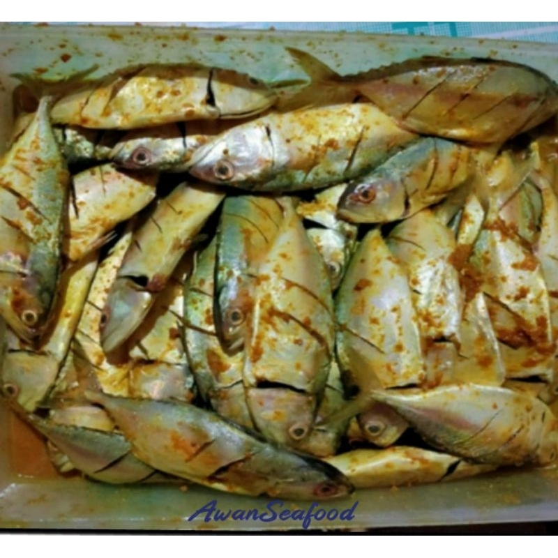 

Ikan Kembung Bumbu Kuning 500gr