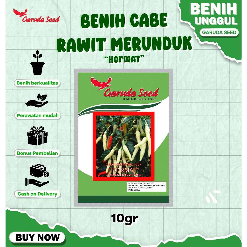 Benih Cabe Rawit Putih Merunduk Unggul 10 Gram untuk Budidaya Cabai