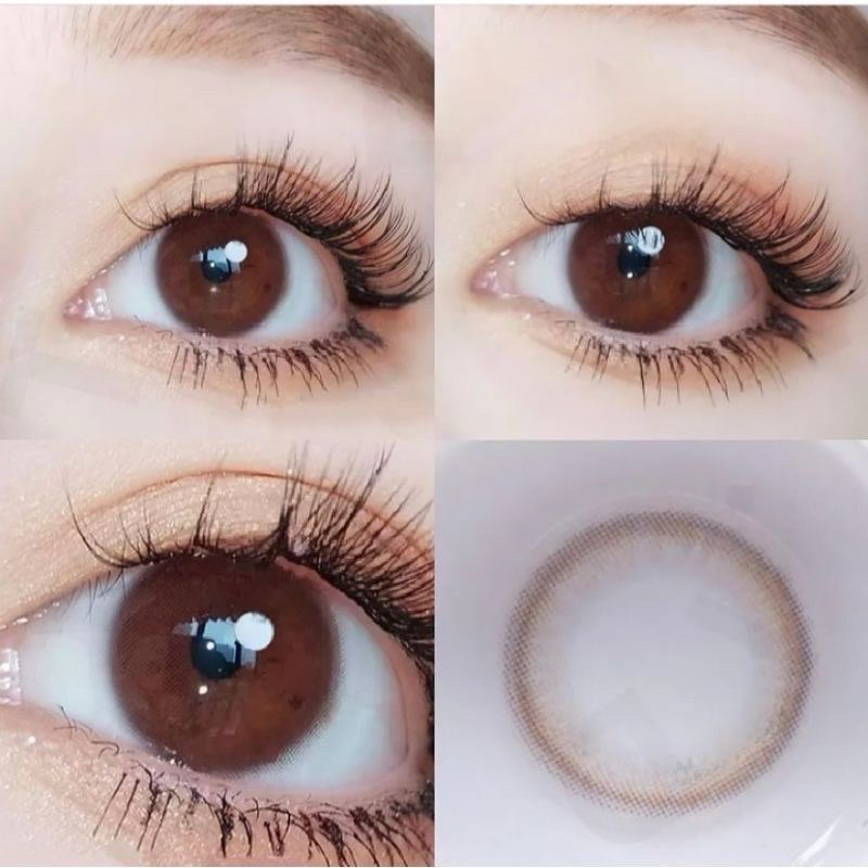 Softlens Kitty Kawaii Brown Minus 4,25