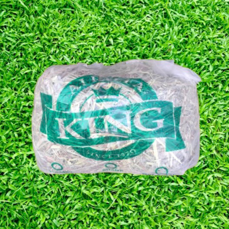 rumput hay alfafa king
