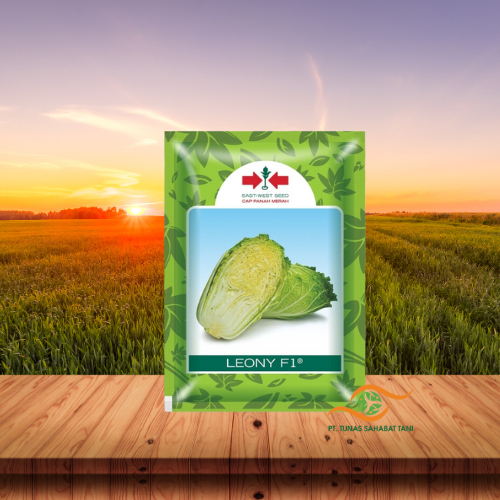 LEONY 10GR Benih Sawi Putih - Sawi Putih - Benih Murah - Panah Merah