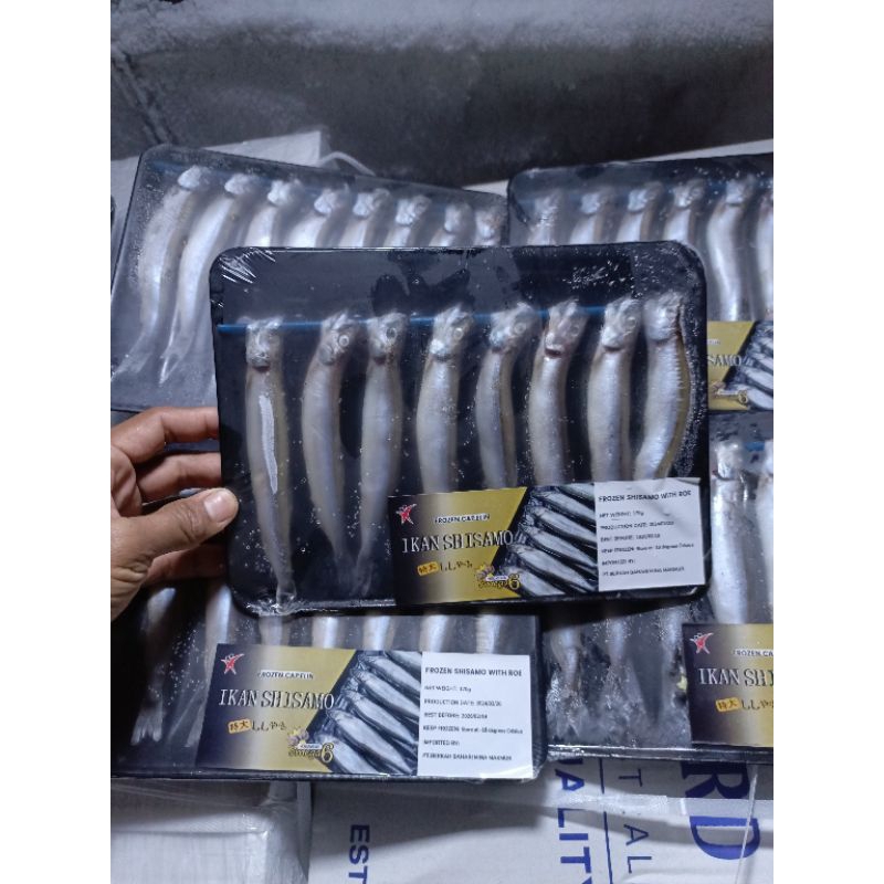

Ikan shisamo, shisamo fish, ikan capelin telur