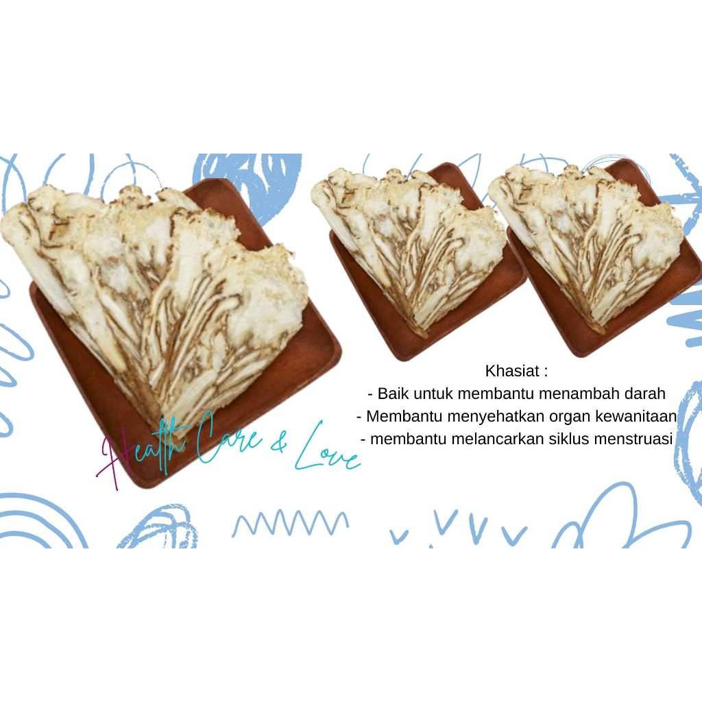 

Dang Gui Iris Utuh 全当归片 / Tang Kwi Iris Utuh