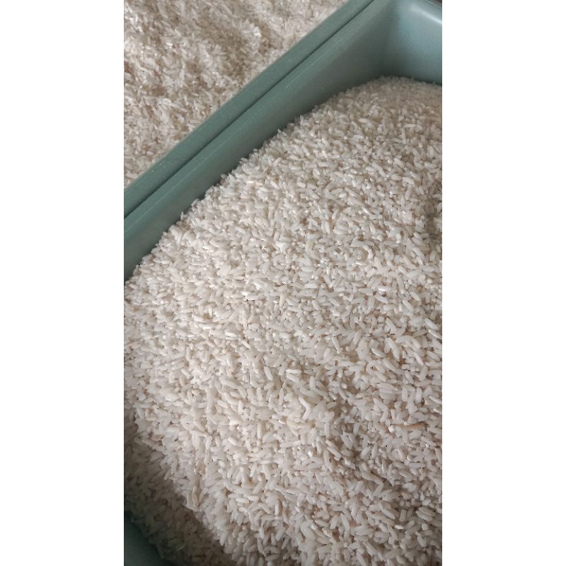 

BERAS LANGSUNG DARI PETANI 1 kg