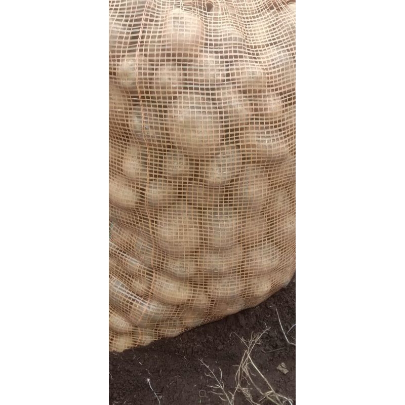 

Sayuran Fresh Kentang Per 5 KG