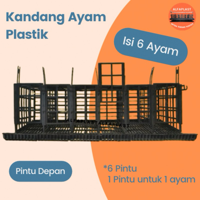 Kandang ayam petelur 6 pintu