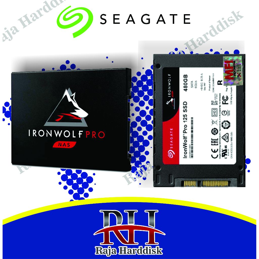 Seagate IRONWOLF NAS PRO 125 SSD 480GB Sata 3 - SSD 480 GB 2.5"