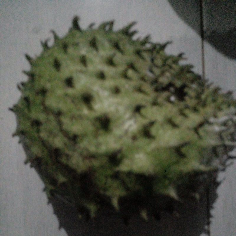 

Sirsak Organik Tua Manis tidak kecut, 500g
