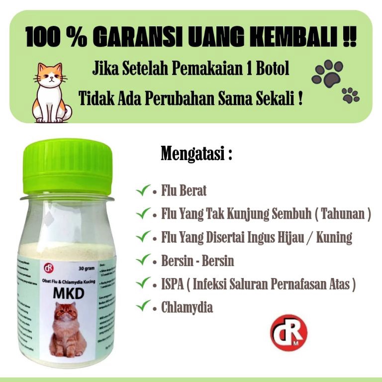 BEST PRODUCT Flu Kucing Pilek Kucing Chlamydia Kucing Saluran Pernafasan Kucing Batuk Kucing Ingus K