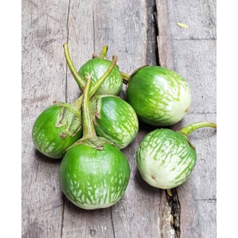 

terong hijau 250 gram