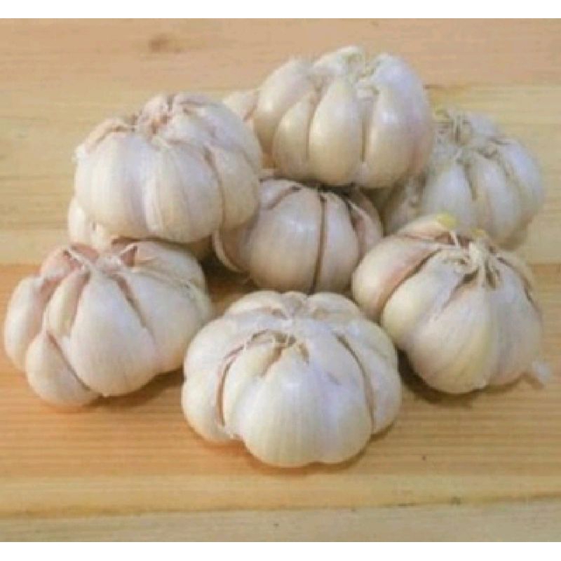 

Bawang putih segar /pack 100gr
