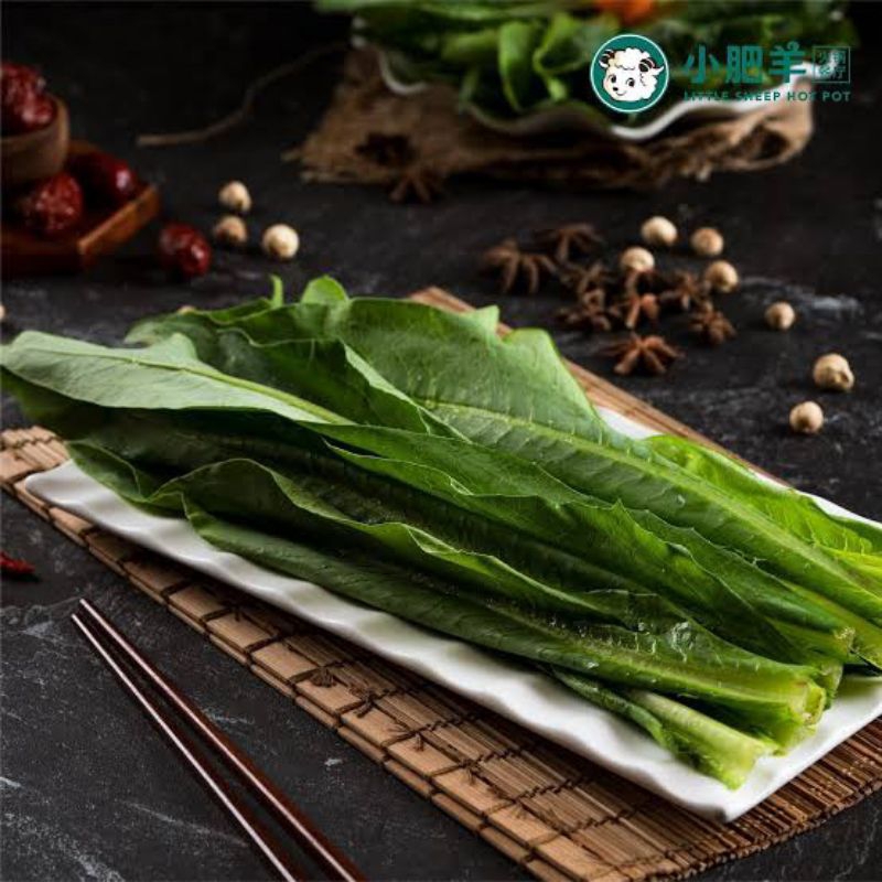 

sayur fumak segar