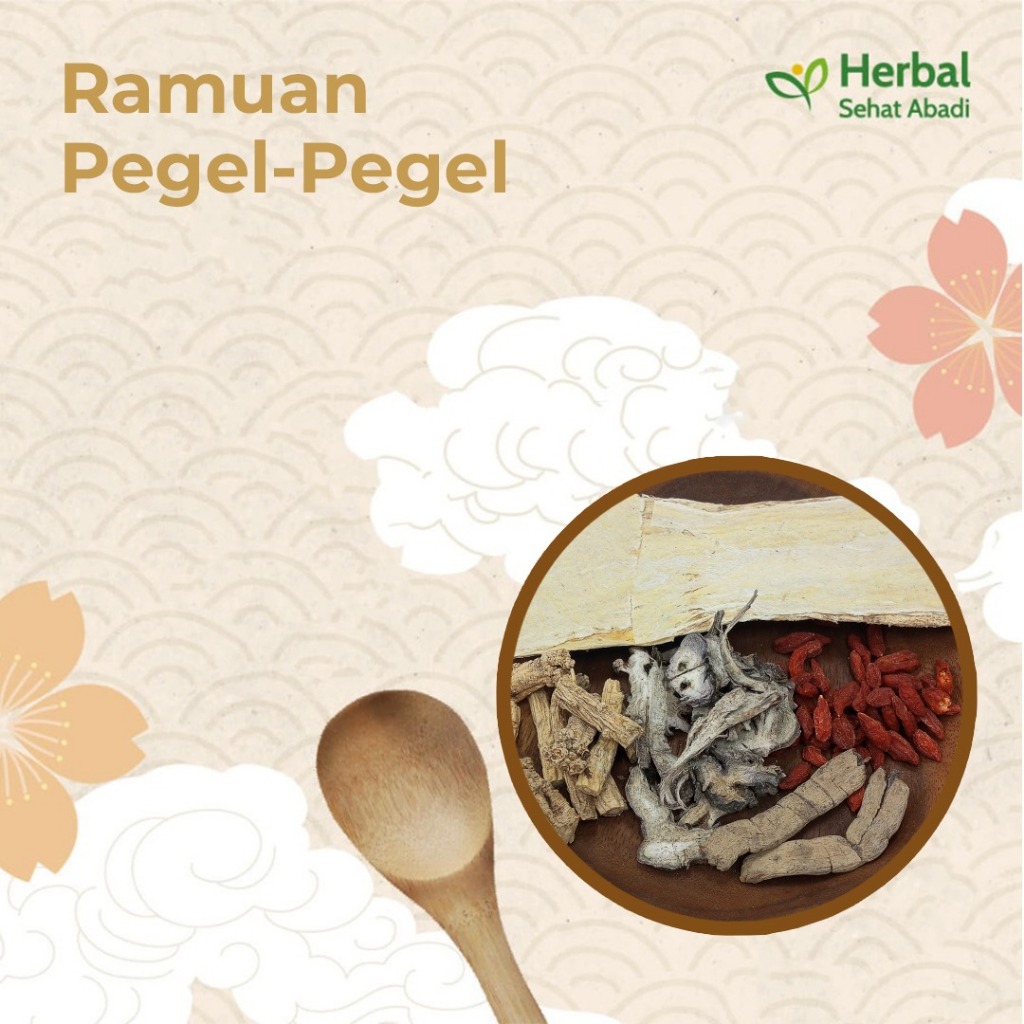 

Ramuan Pegal Pegal