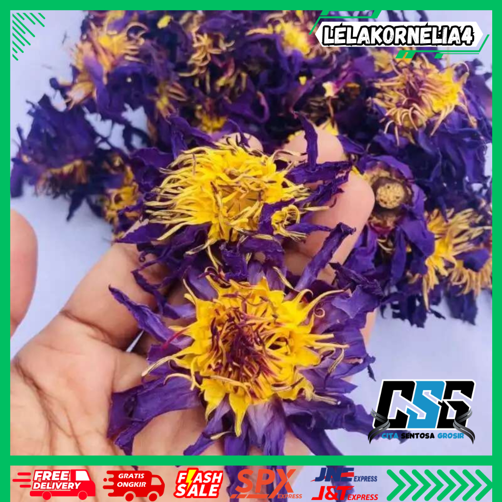 

COD PAKET LENGKAP SIAP SAJI 10GR BUNGA LOTUS KERING BIRU GRADE A / TEH BUNGA LOTUS BIRU