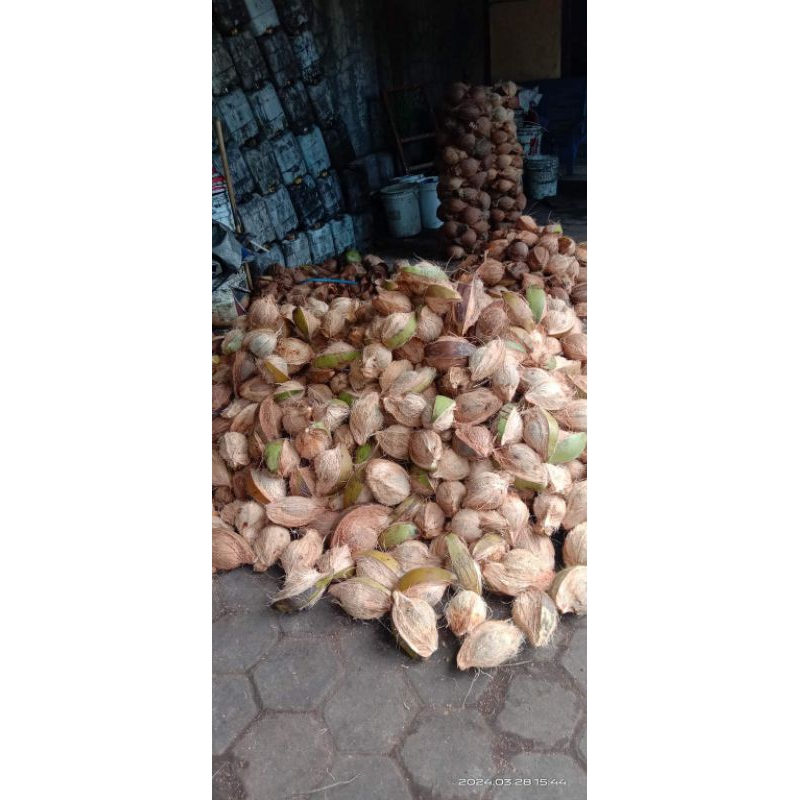 

Kelapa Tua Super
