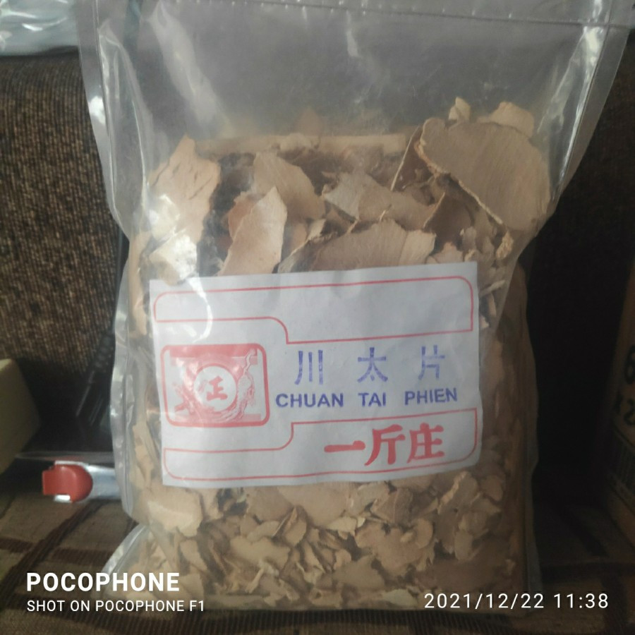 

Chuan Tai Pian 川太片 Hypoglaucous Colett Yam Rhizome 50 Gr