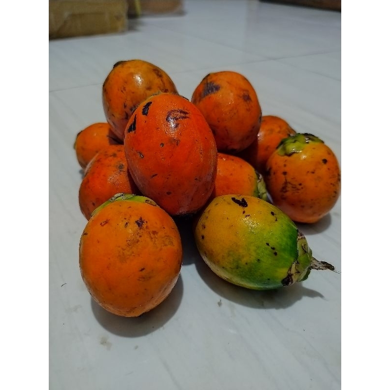 

Buah Pinang Biji Pinang Per-Buah