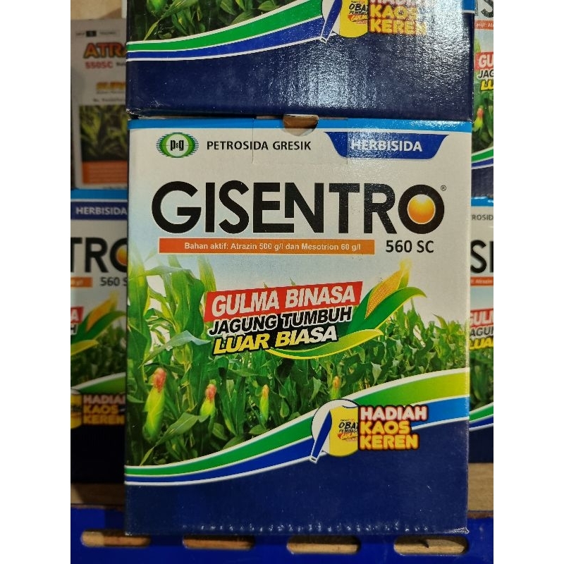 Gisentro herbisida selektif jagung