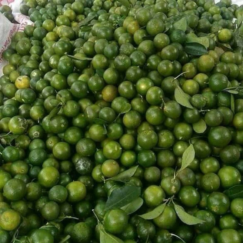 

JERUK SONKIT/KASTURI diet