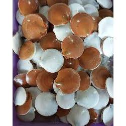 

kerang simping fresh bandung only 250g