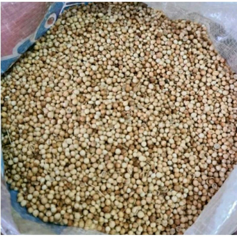 

Ketumbar 1Kg ready bersih