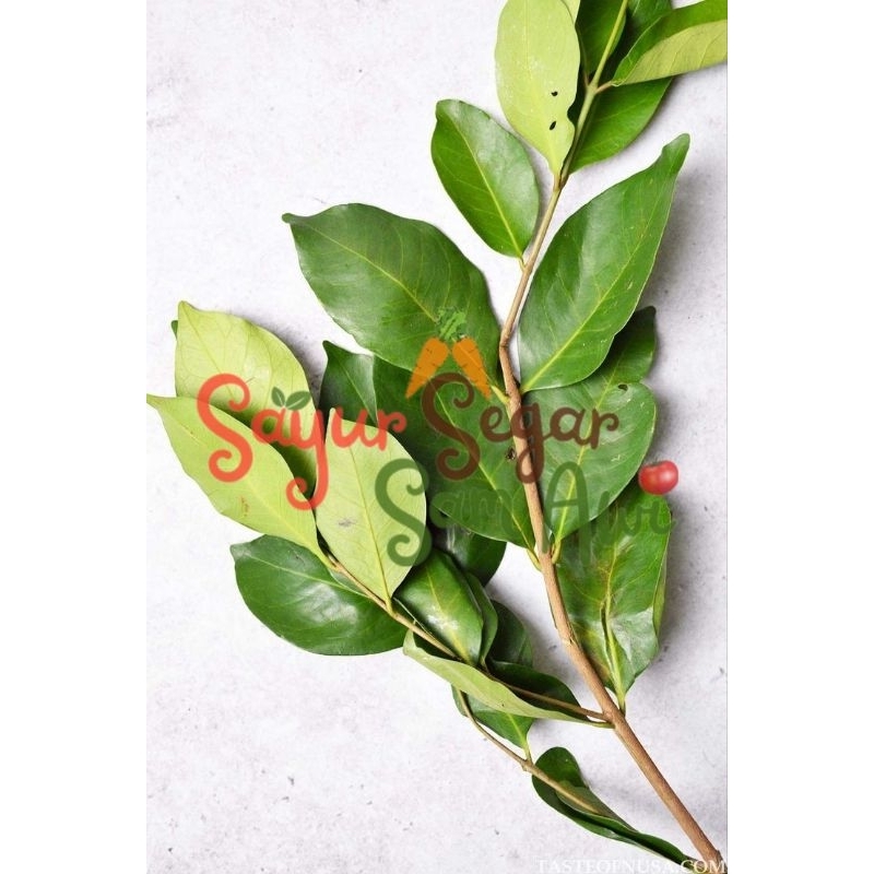 

DAUN SALAM 1 PACK | INSTANT MALANG | SAYUR SEGAR | SAYUR SEGAR SAM AWI
