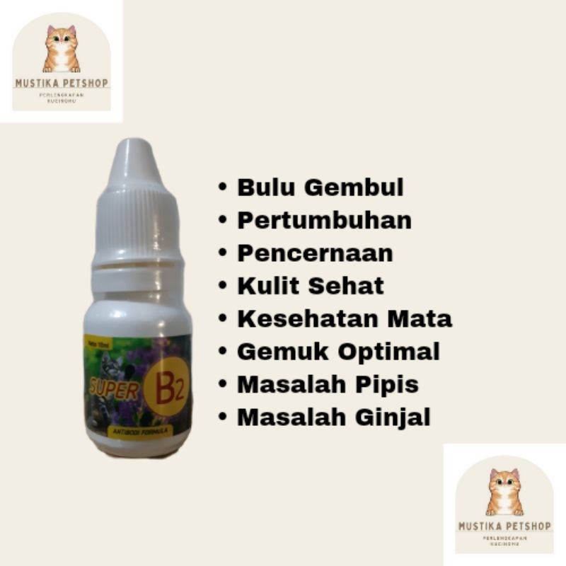 Vitamin Kucing B2 Super