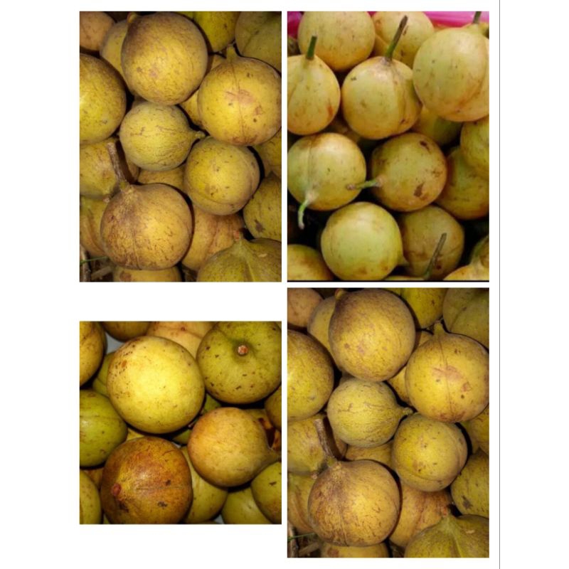 

Buah Pala segar 1kg