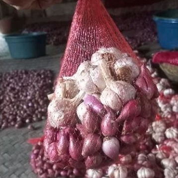 

bawang merah 500gr+bawang putih sinco 500gr