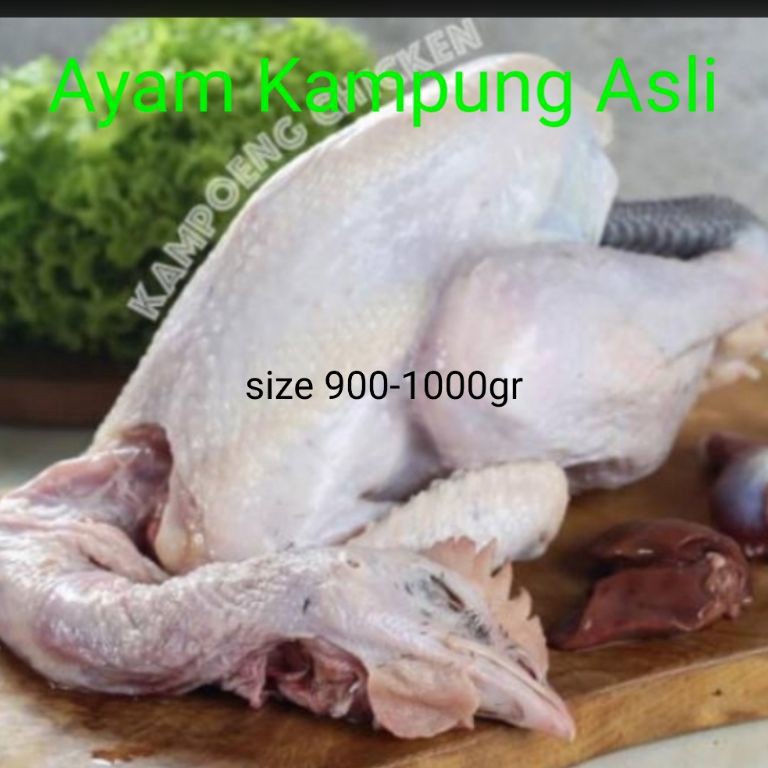 

OKK437 BEST SELLER Ayam Kampung Asli Plus ati ampela 711gr