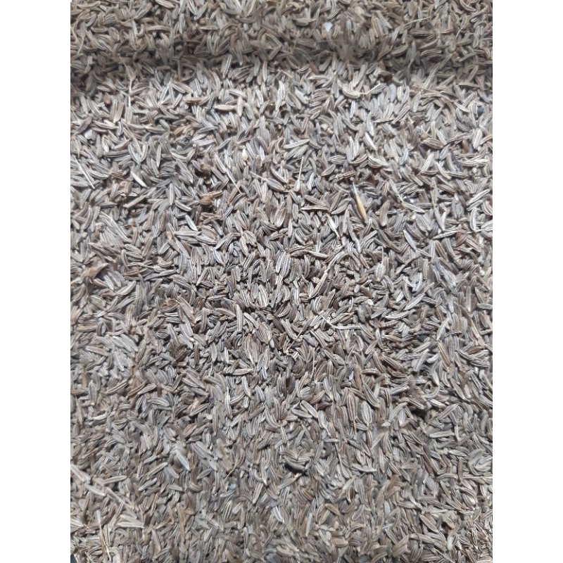 

Jinten Jintan Cumin / Caraway Seed kering 50g