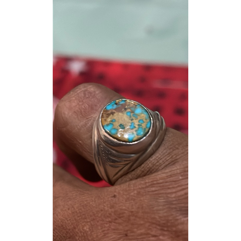 pirus mini persia blue urat emas