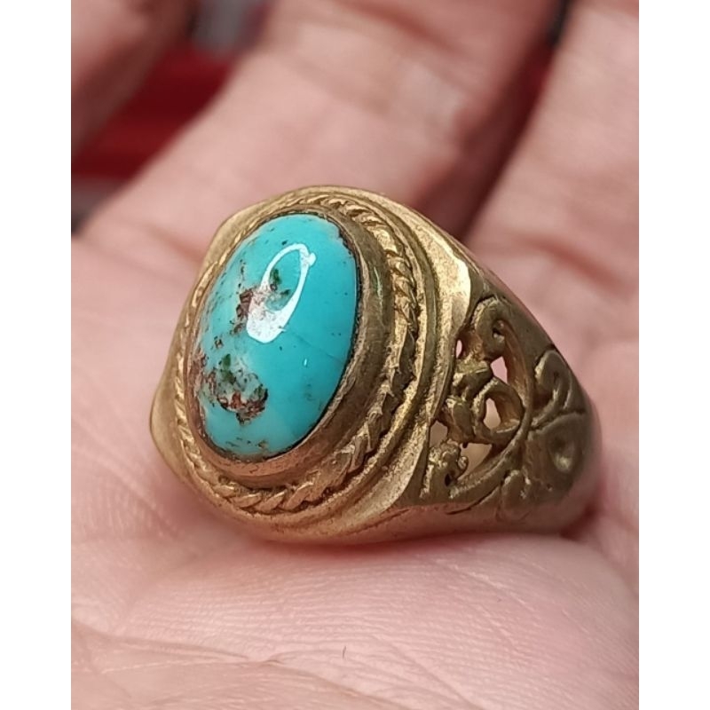 Pirus Persia biru tosca