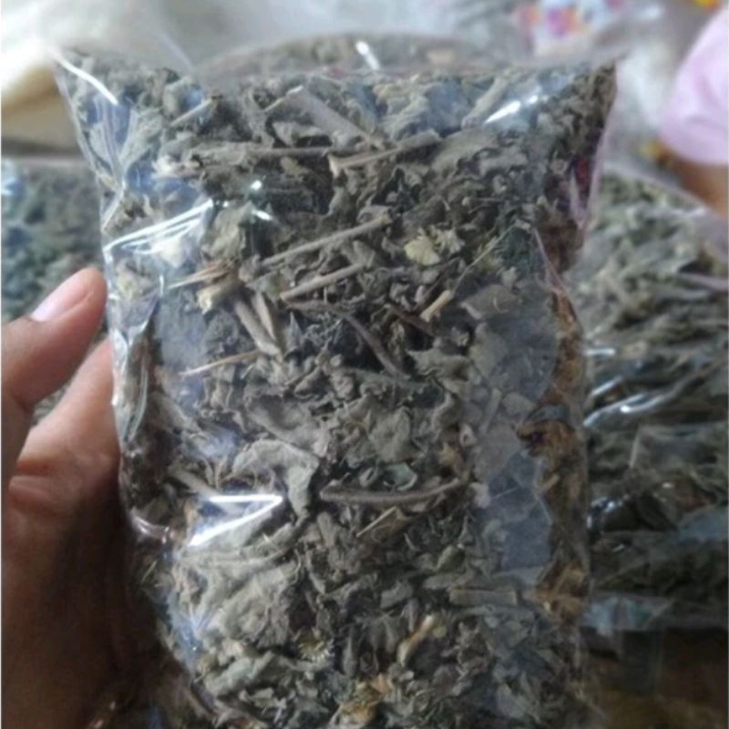 

Daun kirinyuh kopasanda kering 100 gram