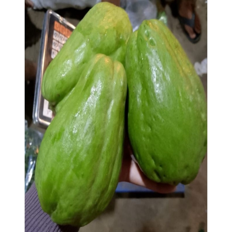 

Labu Siam muda 1kg