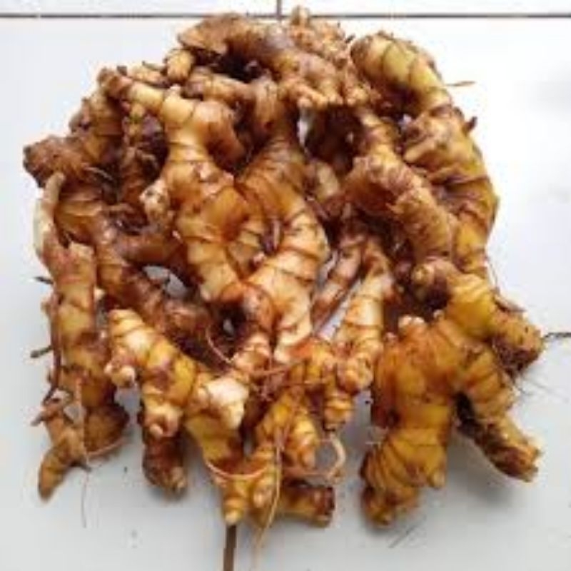 

Panglai Segar, Bangle Fresh Siap Order Paket 150 Gram