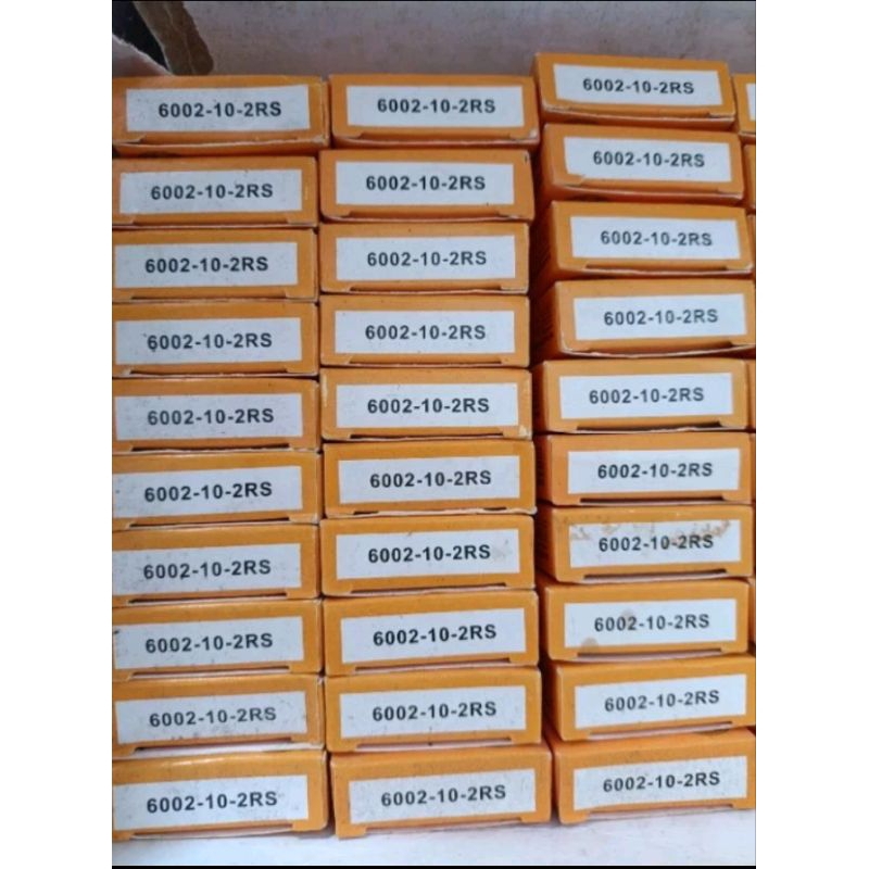 N BEARING NPP 6002 -10 2RS LANGSUNGAN BIBIR TEBAL ORIGINAL