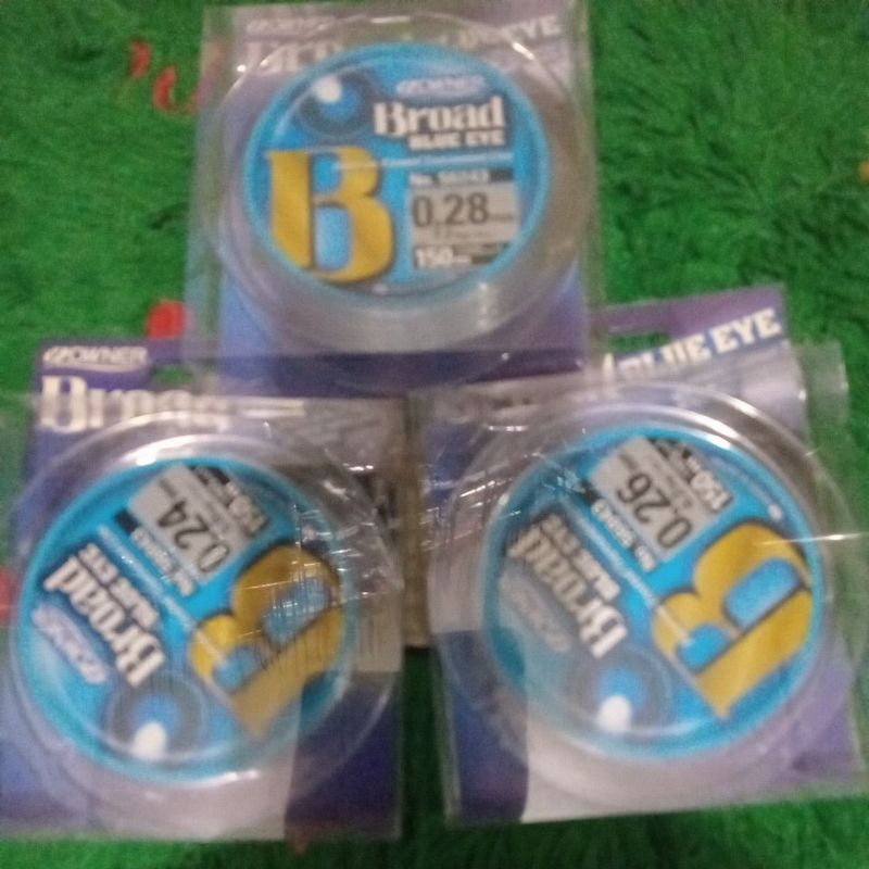 owner broad blue eye