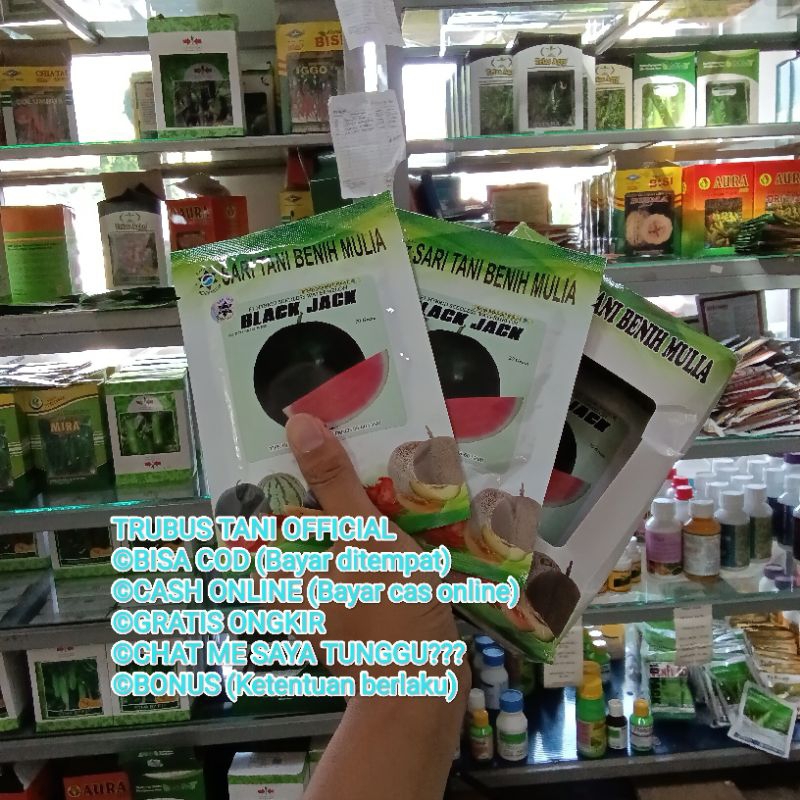 

Benih Semangka Jumbo Black Jack F1, Non Biji (Pembuahan mudah, Tahan Kresek, Disukai Pasar) Berkwalitas Isi 20 gram Kadaluarsa 2026 (Terbaru Panjang)