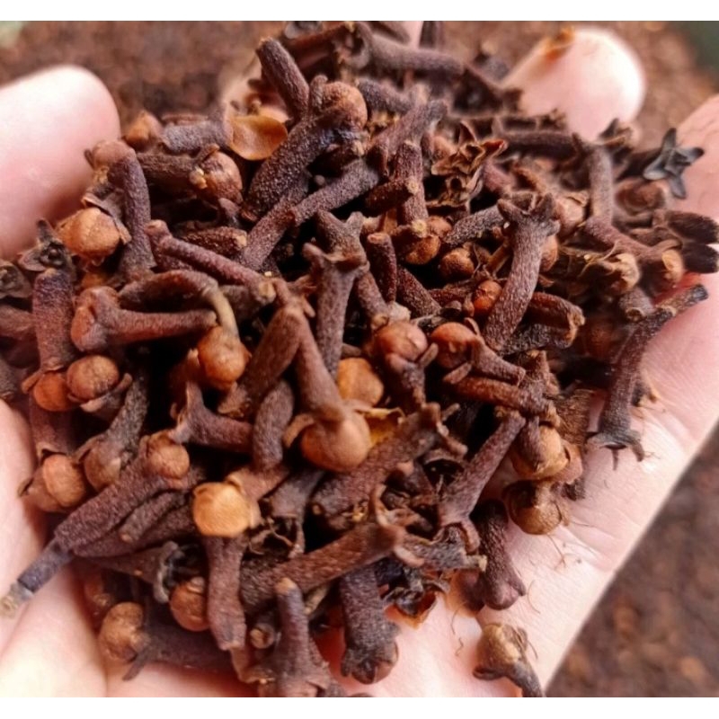 

cengkeh/rempah rempah/bumbu masak