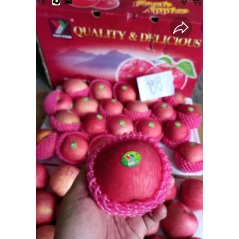 Apel Fuji Yuyi premium 1 Dus fresh import