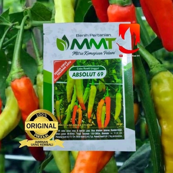 benih cabe rawit ABSOLUT 69. 10gr by MMT