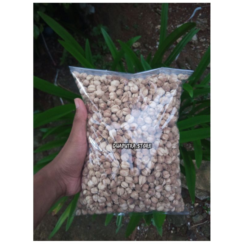 

Kapulaga kering Premium 500 Gram sudah dicuci bersih