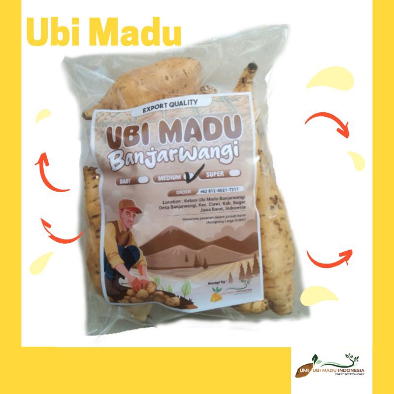 

UBI Cilembu MENTAH [UMI] MEDIUM 500gr