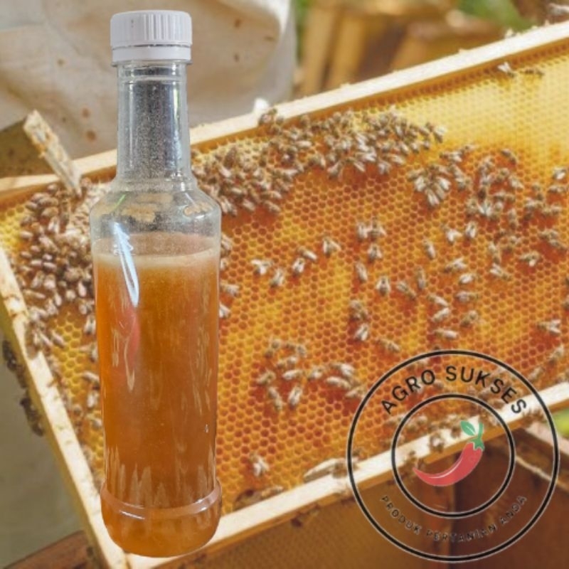 

Madu Murni - Madu Asli Bunga Randu 500 Gram