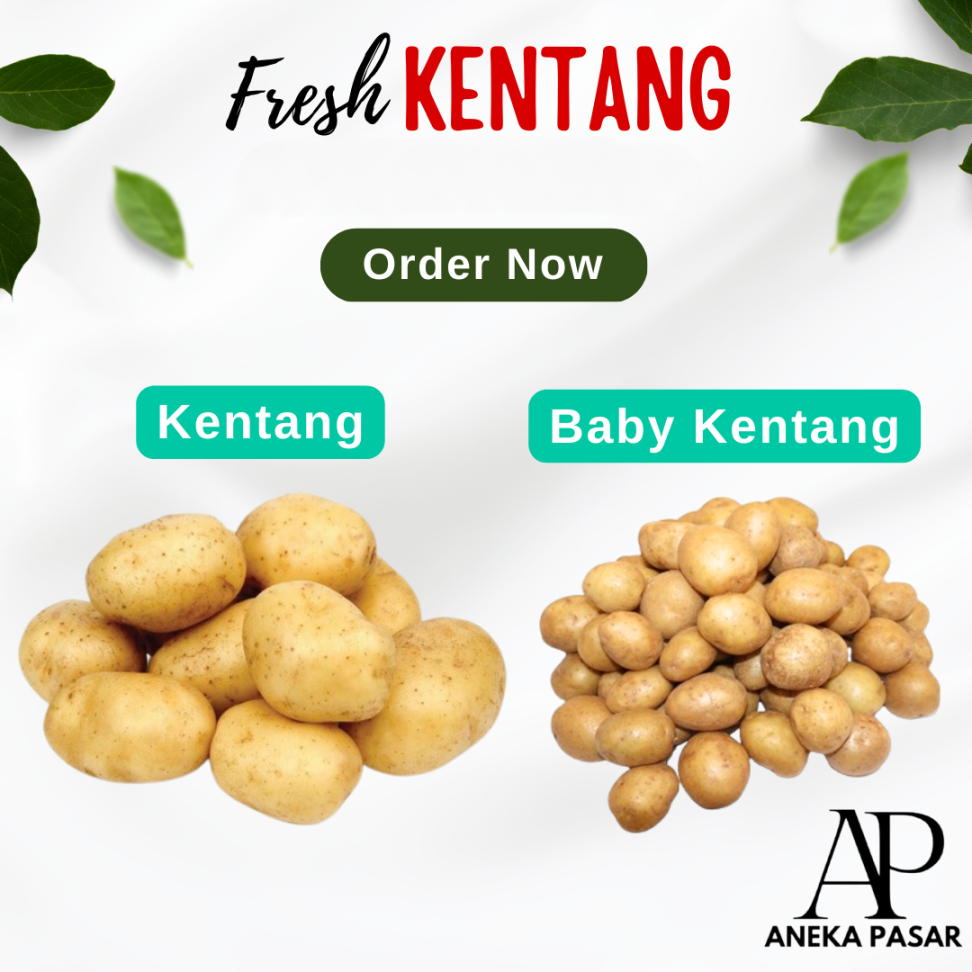 

Kentang Potato / Baby Kentang Kecil Sayuran Segar Surabaya